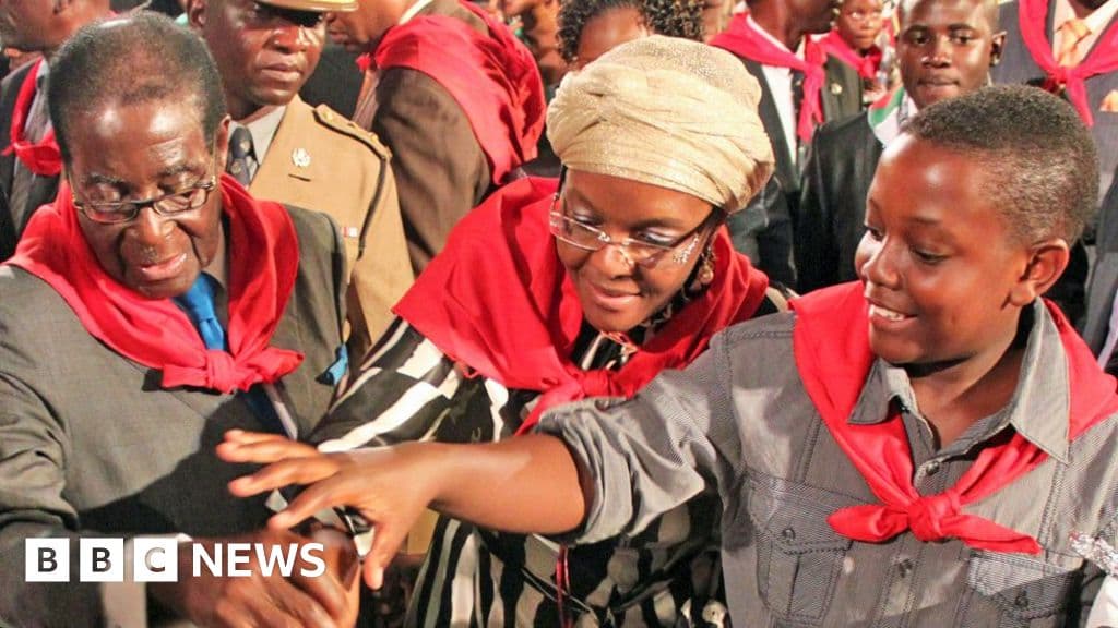 Arrests, accusations and arguments - the Mugabe family after losing power