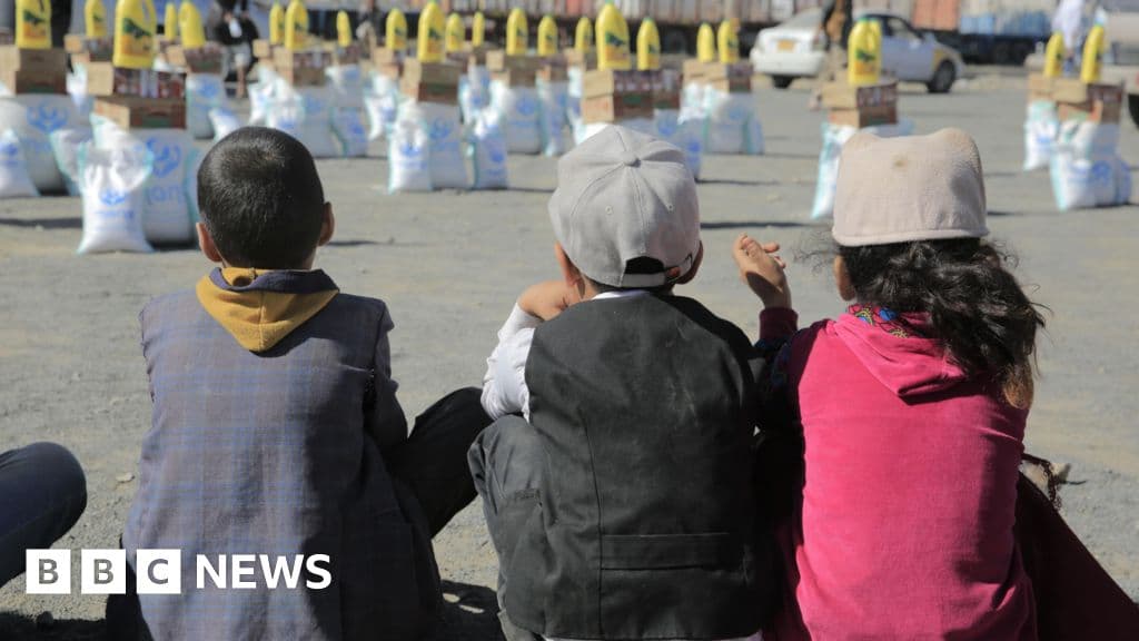 'They seized everything': Yemen's Houthi rebels drive aid groups to the brink - BBC