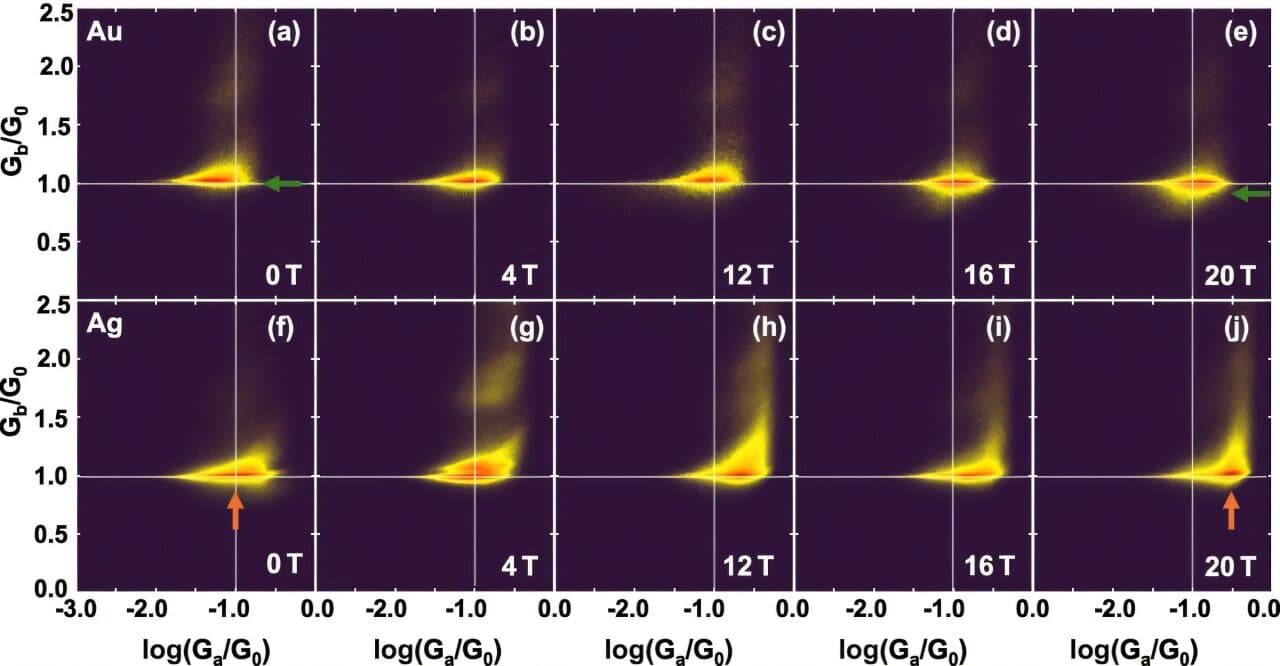 Unexpected magnetic response in gold and silver atomic contacts contradicts previous theoretical predictions