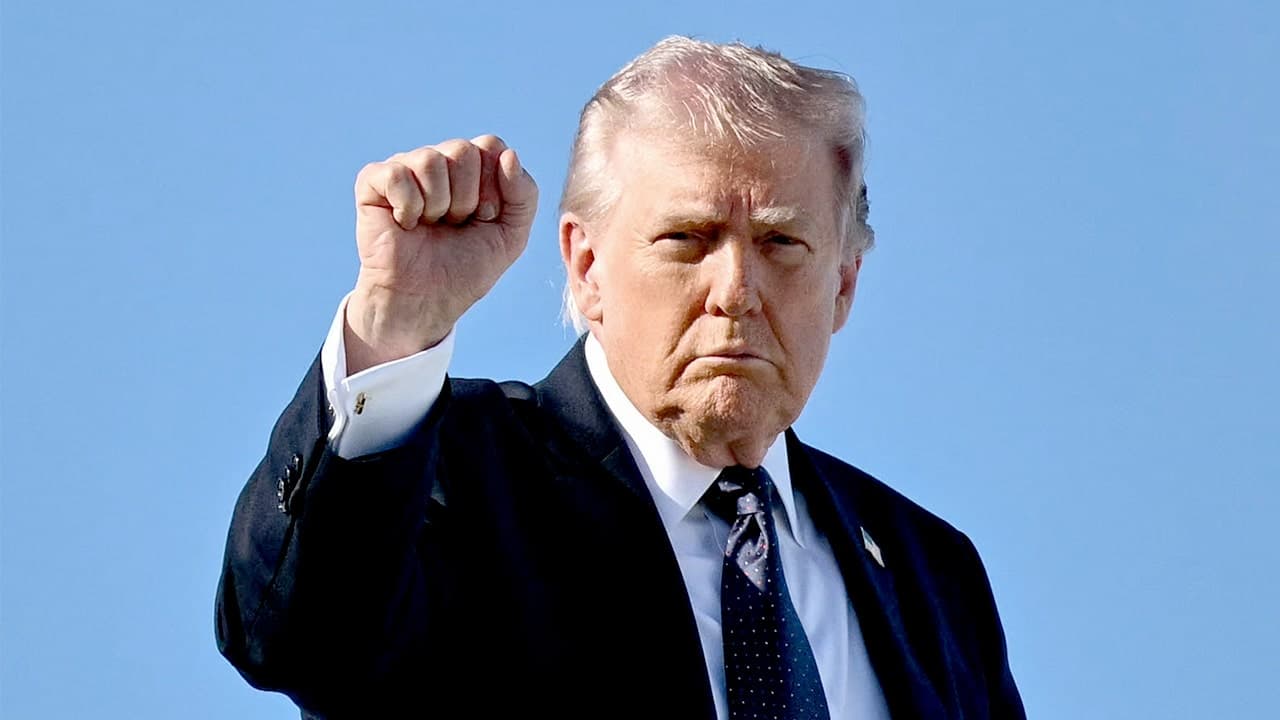 Trump compared by MS NOW contributor to a less 'serious' Hitler who's 'selling merch'