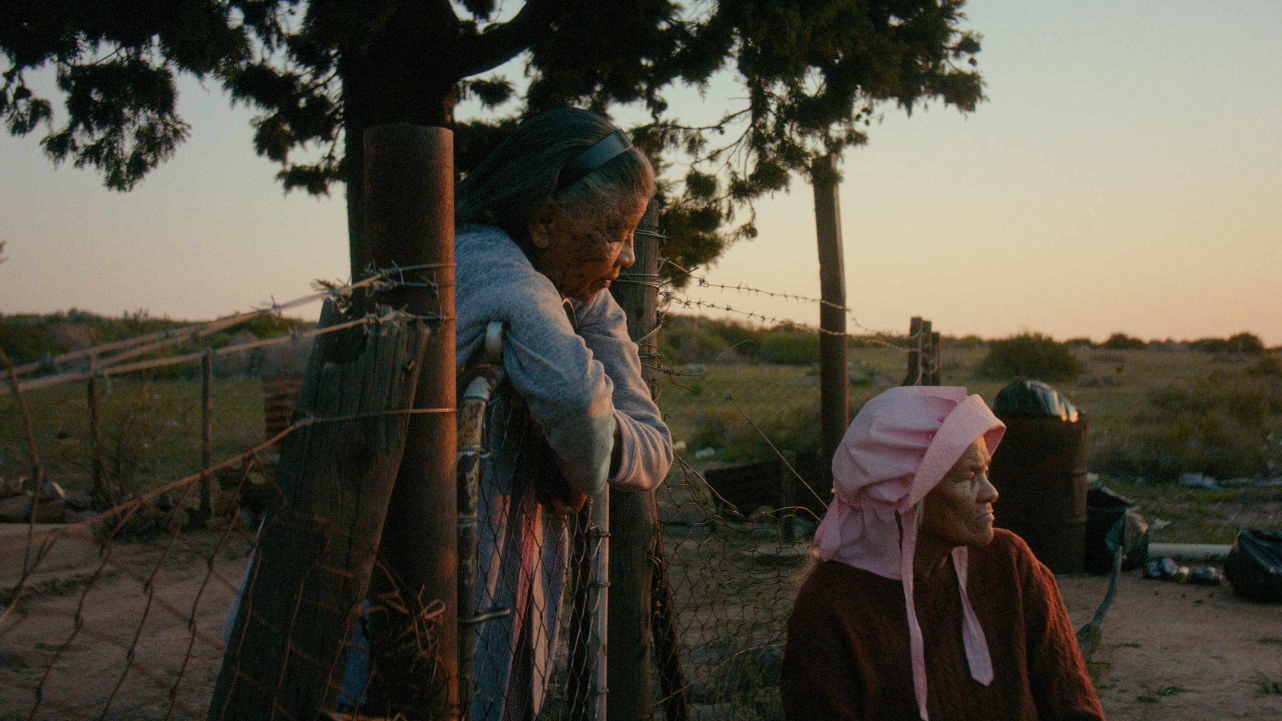 Rotterdam Tiger Award Winner ‘Variations on a Theme’ Explores History’s Long Shadow Through Lyrical Lens, Releases Trailer (EXCLUSIVE)