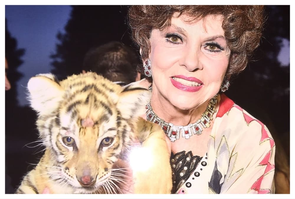 ‘Gina Lollobrigida: Diva Contesa,’ HBO Max Italy Docuseries on Battle Over Iconic Actress’ Fortune, Sets April Release Date
