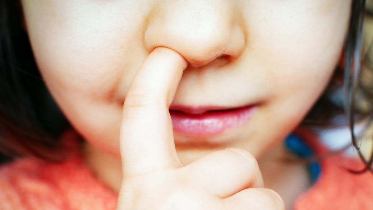 Nose Picking and Alzheimer’s Risk: New Mouse Study Reveals Potential Link via Brain Pathway