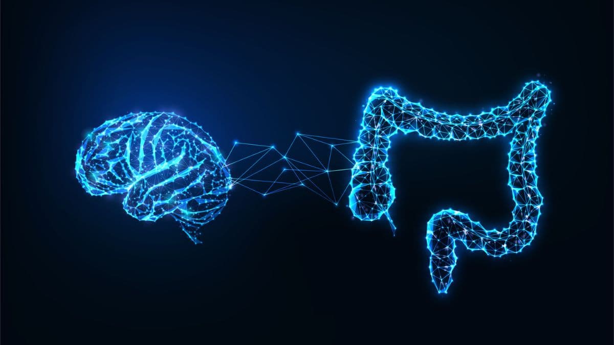 Scientists Find Gut-Brain Link Could Slow Cognitive Decline in Aging Adults