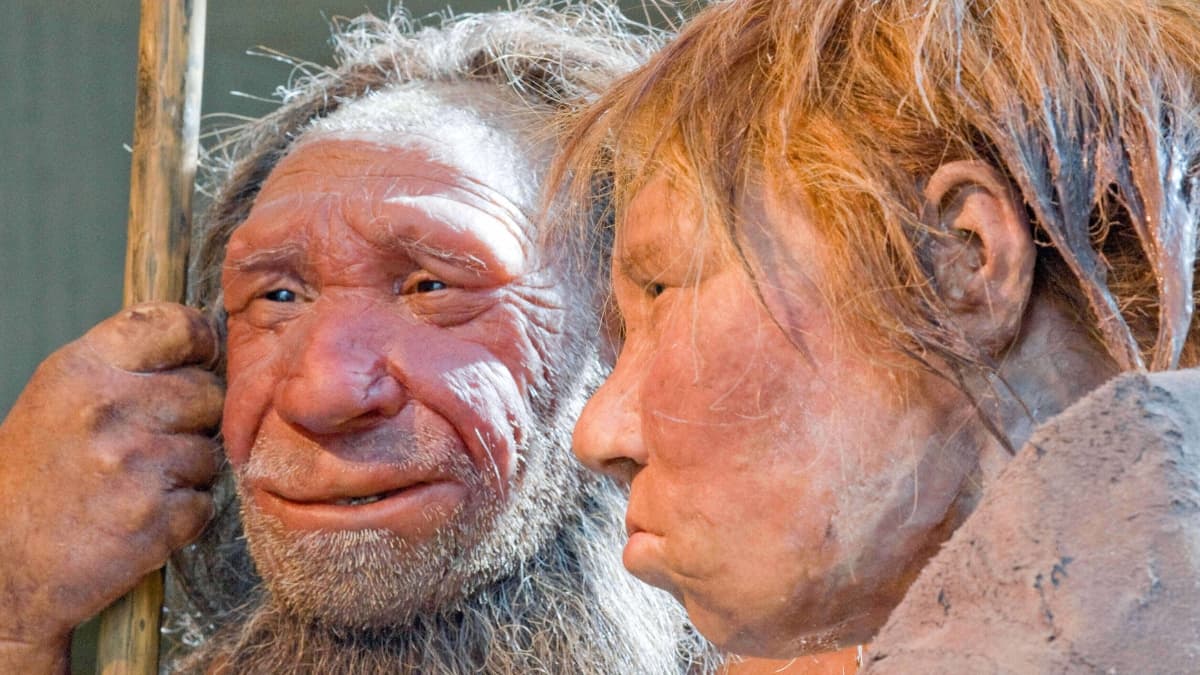 Neanderthal DNA Is Missing From Our X Chromosome. This Could Be Why.