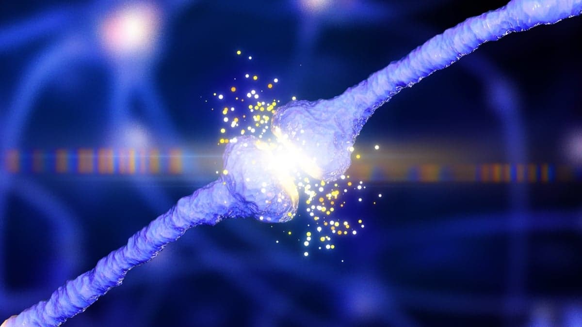 New Research Proposes Unifying Mechanism Behind Alzheimer's Protein Competition in Brain Cells