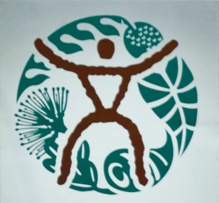 Health officials confirm measles case in visitor to Hawaii