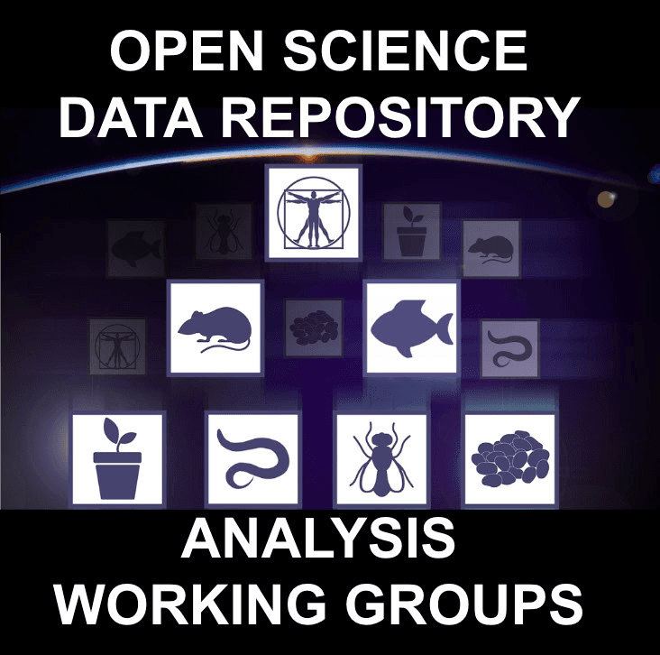 NASA Volunteers Study Biofilm Adaptability in Space