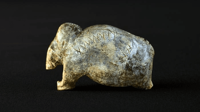 Paleolithic humans invented an 'early predecessor to writing' at least 40,000 years ago, carved signs suggest