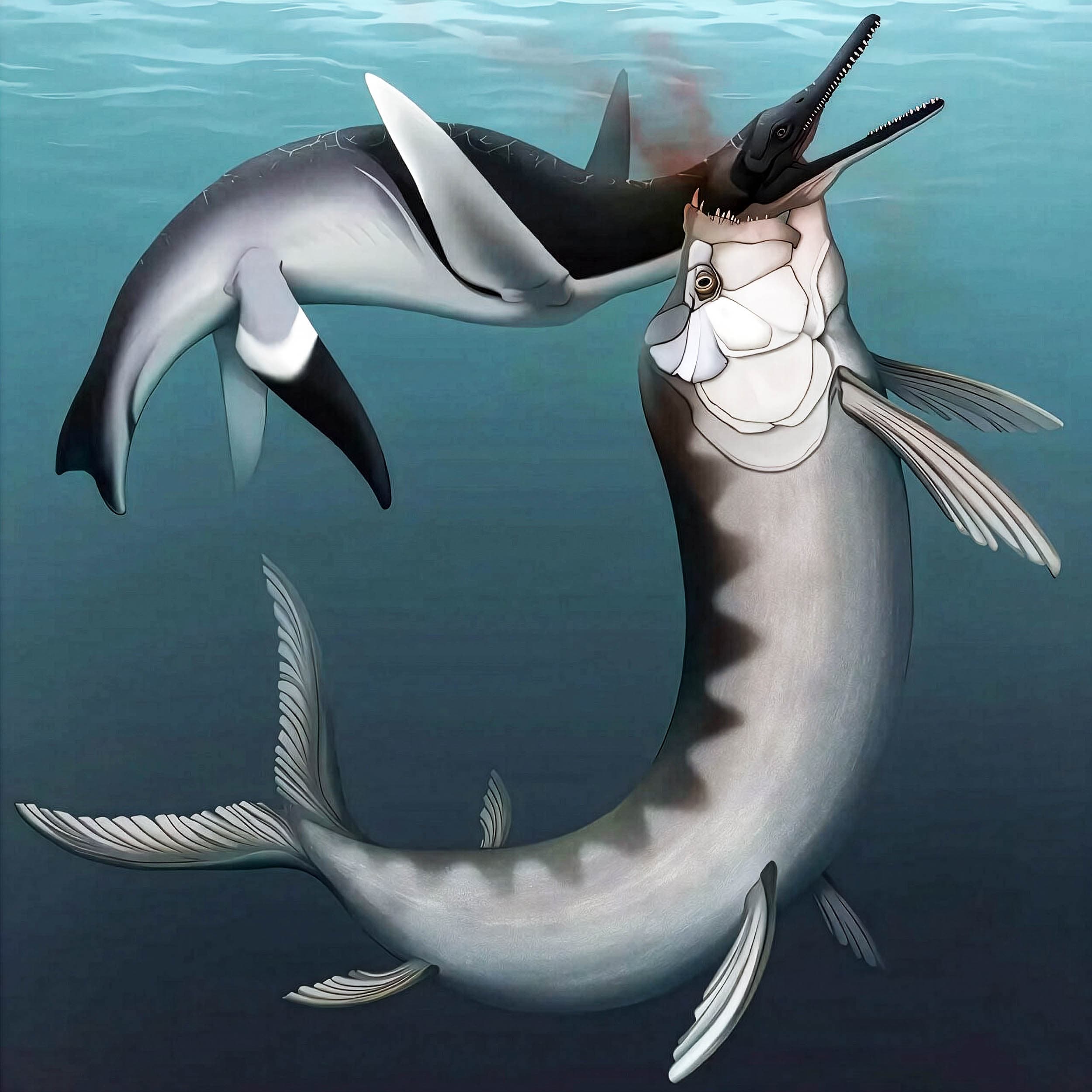 Prehistoric Face-Off: Giant Predatory Fish Devoured 13-Foot Marine Reptile in Ancient Alabama Seas