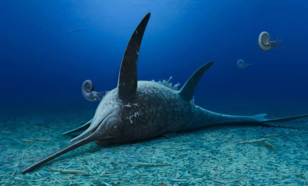 Scientists Unearth "Sword Dragon" Fossil Skeleton from UK Coast, Revealing a New Look at Prehistoric Life