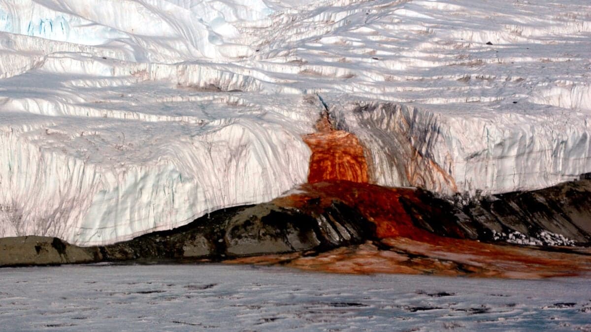 Why This Part of Antarctica Bleeds Blood Red - Gizmodo