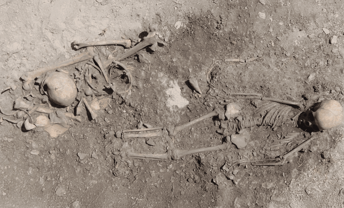 DNA from 5,500-Year-Old Graves Solves Long-Standing Genetic Mystery