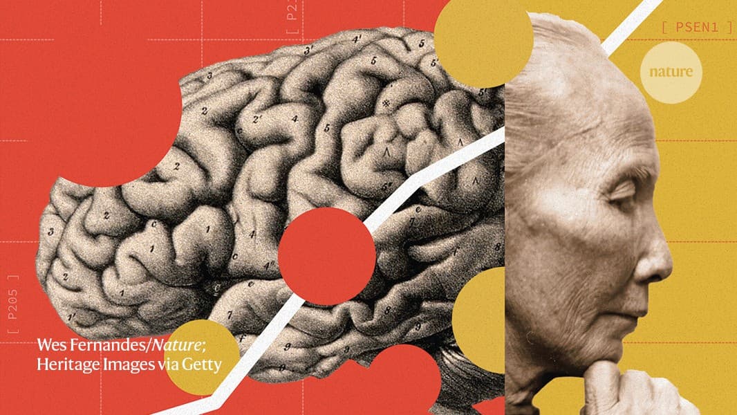 China is waging war on Alzheimer’s. What can its approach teach the rest of the world? - Nature
