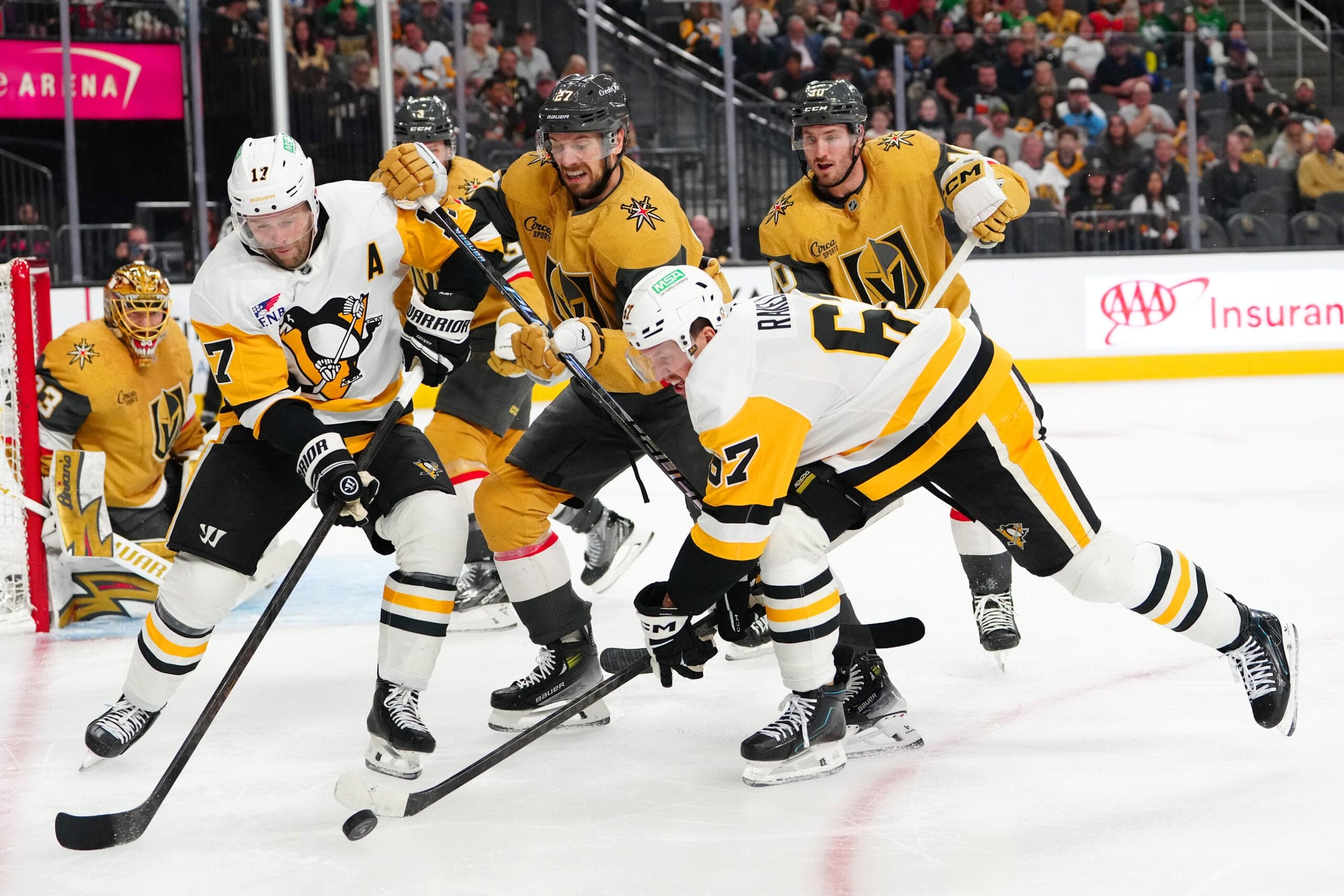 Penguins Report Card