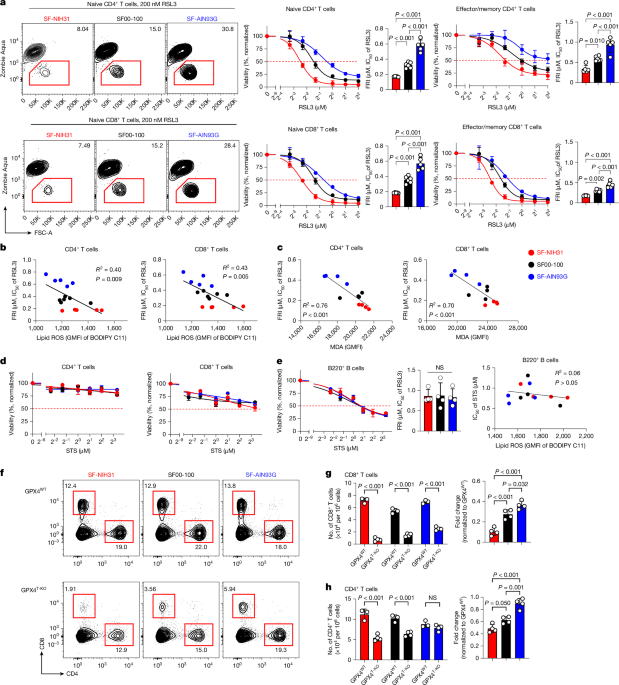 Lipid metabolism drives dietary effects on T cell ferroptosis and immunity - Nature
