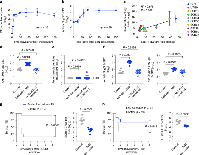 Natural maternal immunity protects neonates from Escherichia coli sepsis - Nature