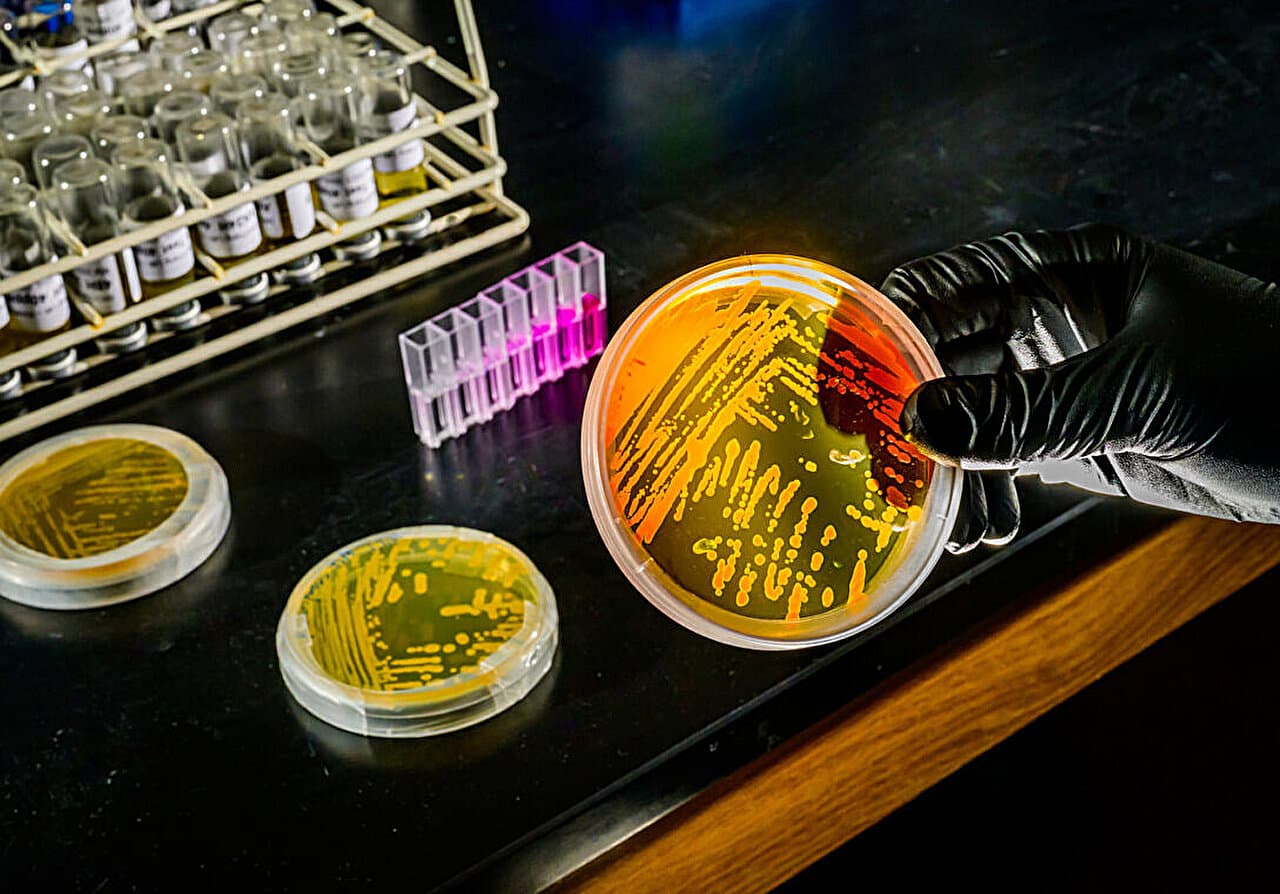 Deep ocean microbes may already be prepared to tackle climate change