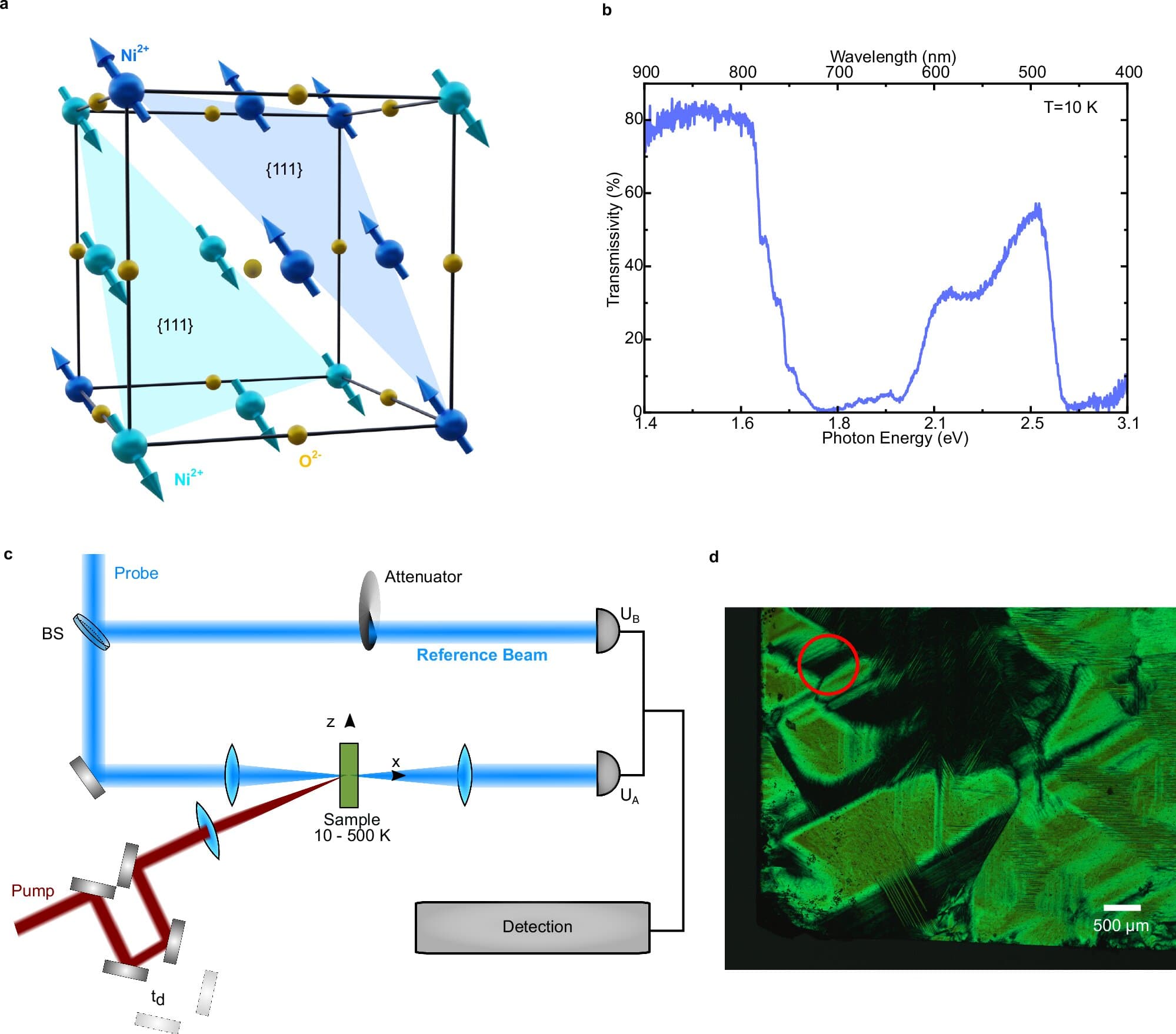 Terahertz Spin Waves Breakthrough Enables Energy-Efficient Computing, Study Finds