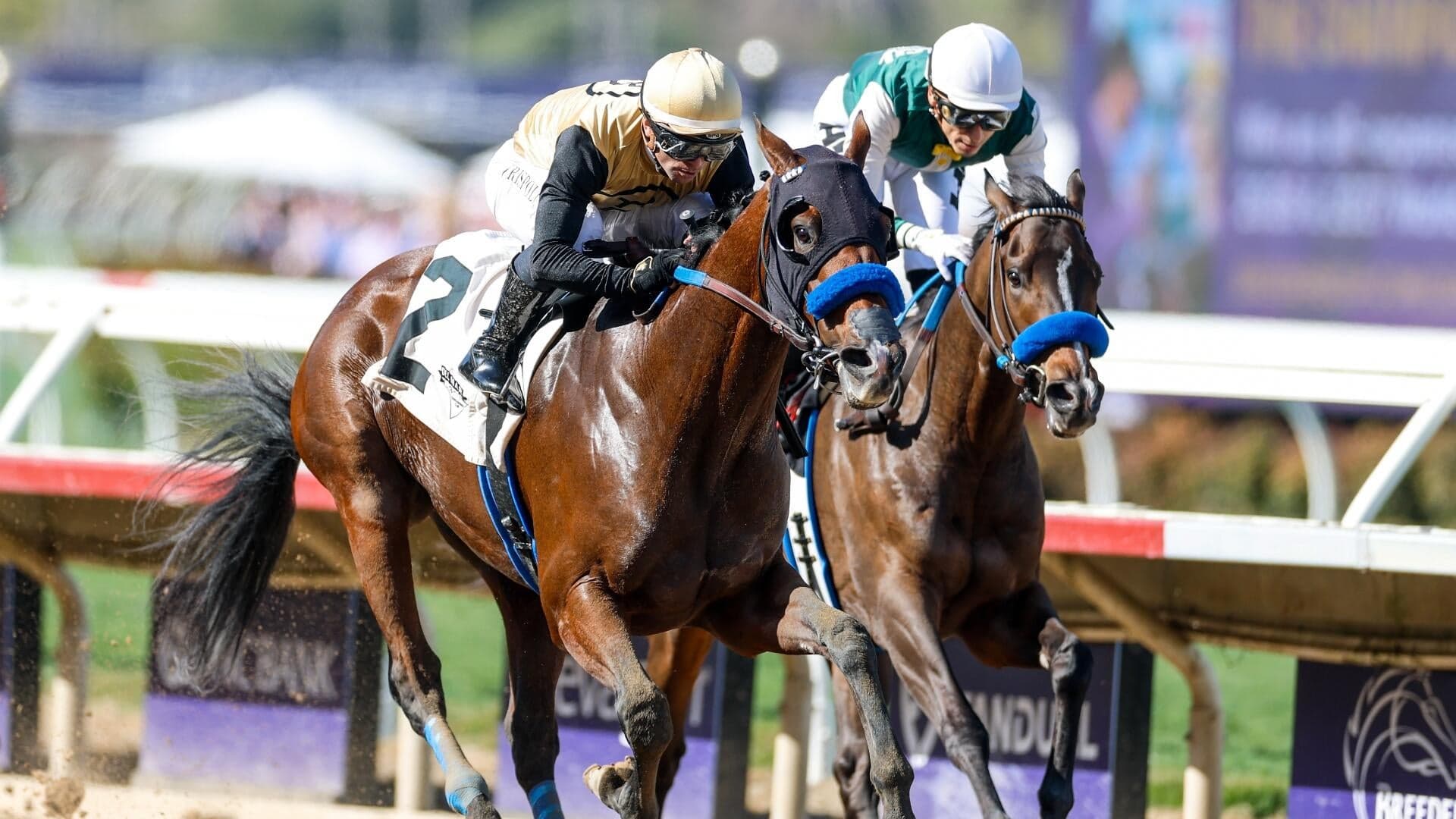 Tampa Bay Derby 2026 predictions, odds, time: Picks from expert who hit Kentucky Derby trifecta