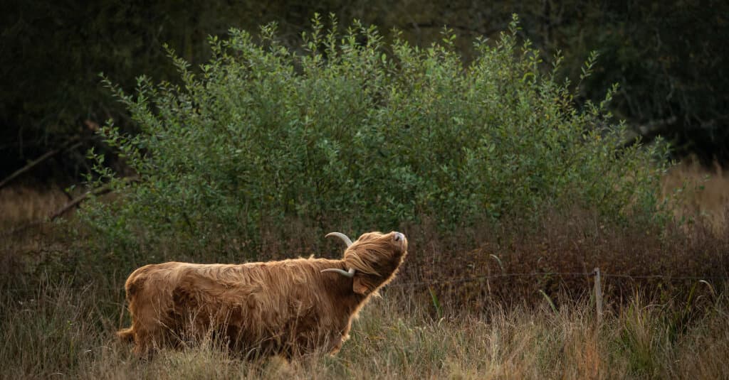 NYT Crossword Answers for Feb. 26, 2026