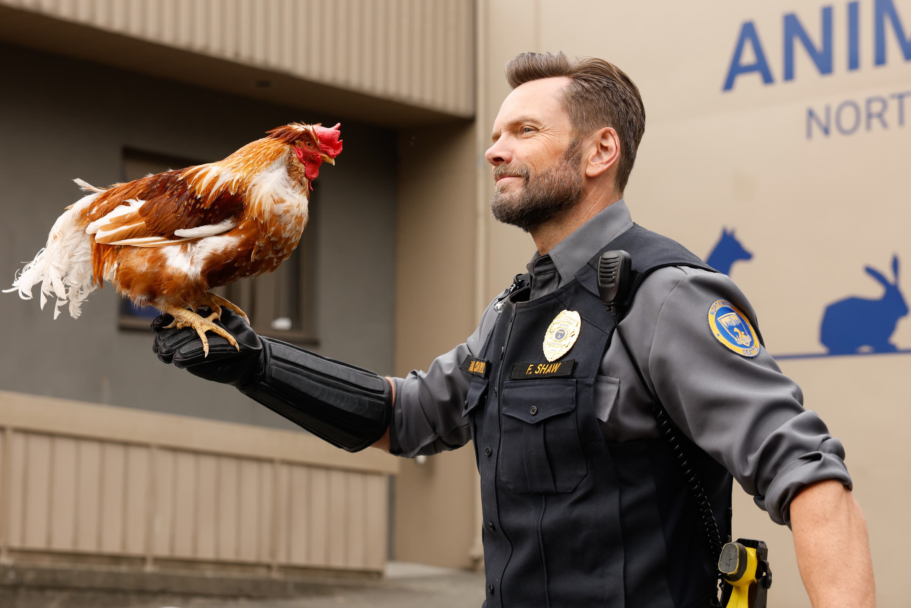 ‘Animal Control’ Renewed for Season 5 at Fox