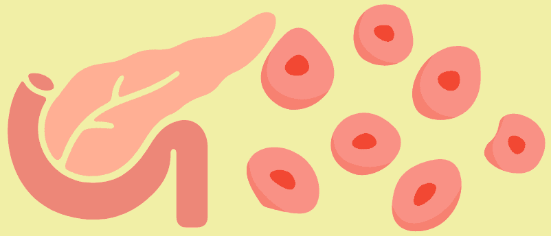 MIT Researchers Develop Implantable Device Offering Long-Term Diabetes Control Without Injections