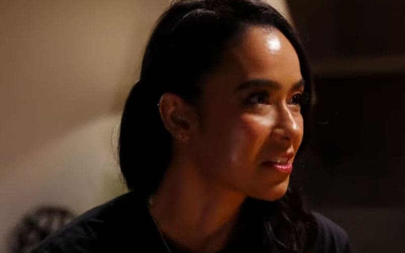 AJ Lee Reveals Real Reason Behind Her WWE Return - Ringside News