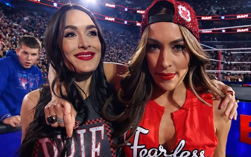 Real Reason Behind Bella Twins’ WWE TV Absence Revealed