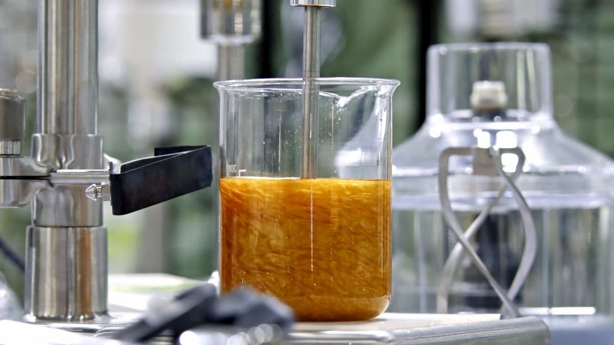 'Major Discovery': After Years of Research, Scientists Found a New Chemical Reaction - ScienceAlert